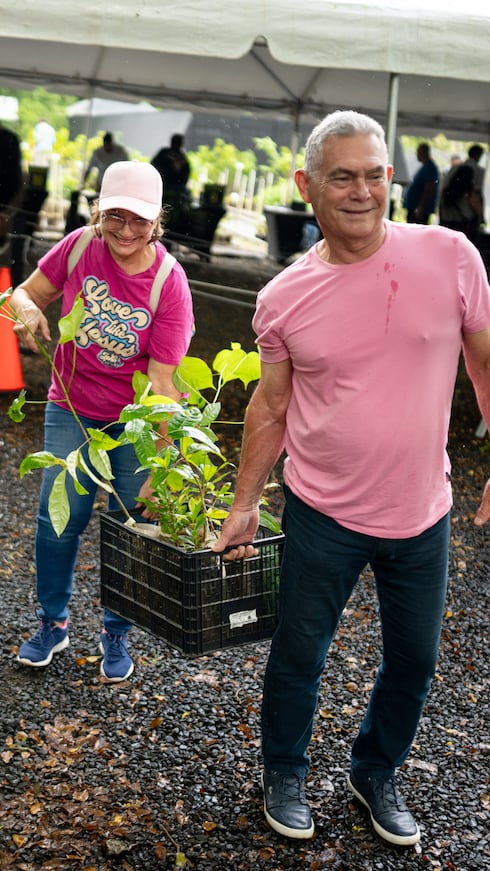 Para La Naturaleza distribuyó árboles nativos, endémicos y frutales para fomentar la reforestación en Puerto Rico.