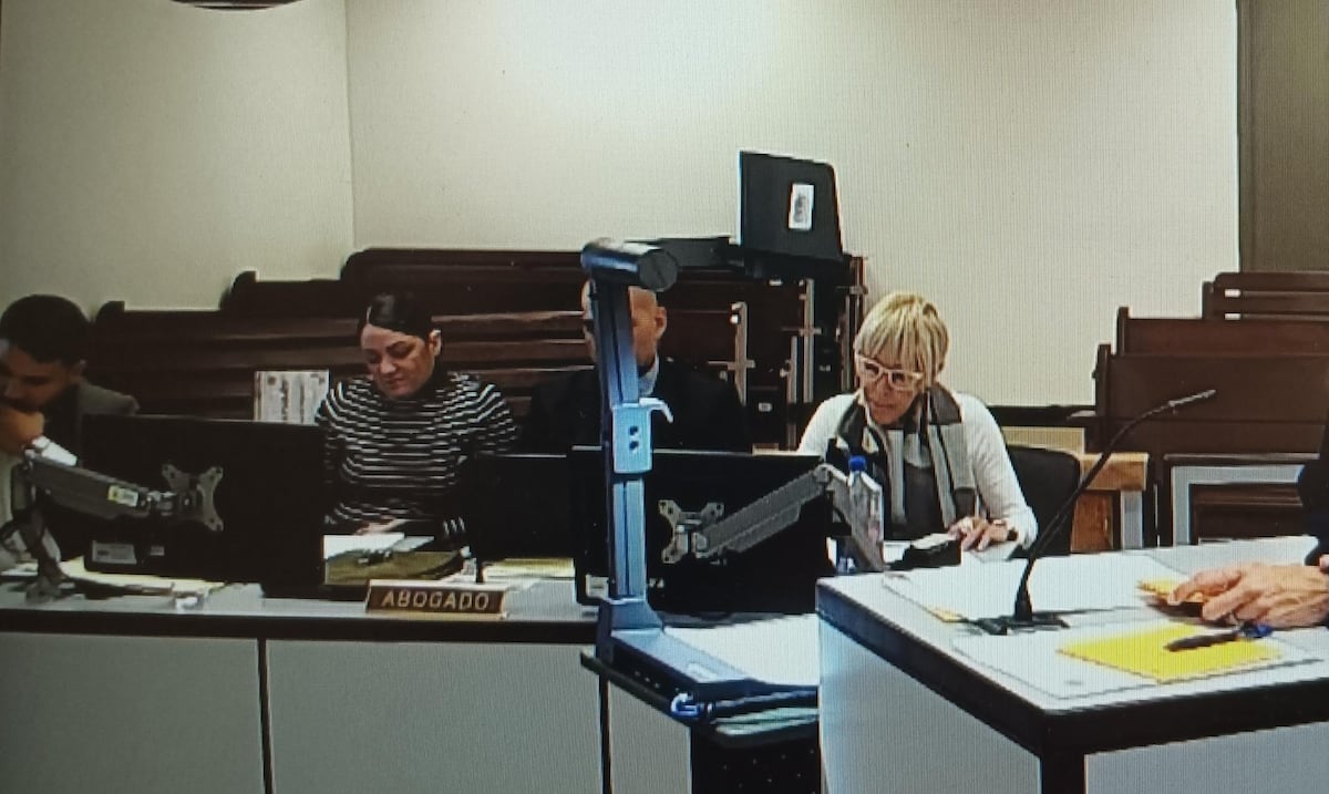 Día 5 del juicio contra Elvia Cabrera: testigo no mencionó durante su relato que la acusada estuviese en la escena de los hechos