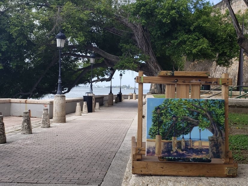 La Escuela de Artes Plásticas y Diseño es la única institución de educación superior en Puerto Rico que ofrece un bachillerato en Artes Plásticas con ocho concentraciones.