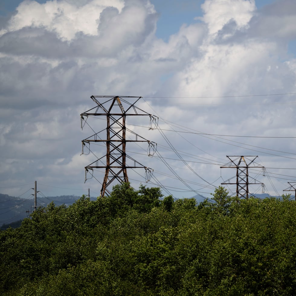 The GAO confirmed the slow pace of disbursement of funds to improve the power grid.
