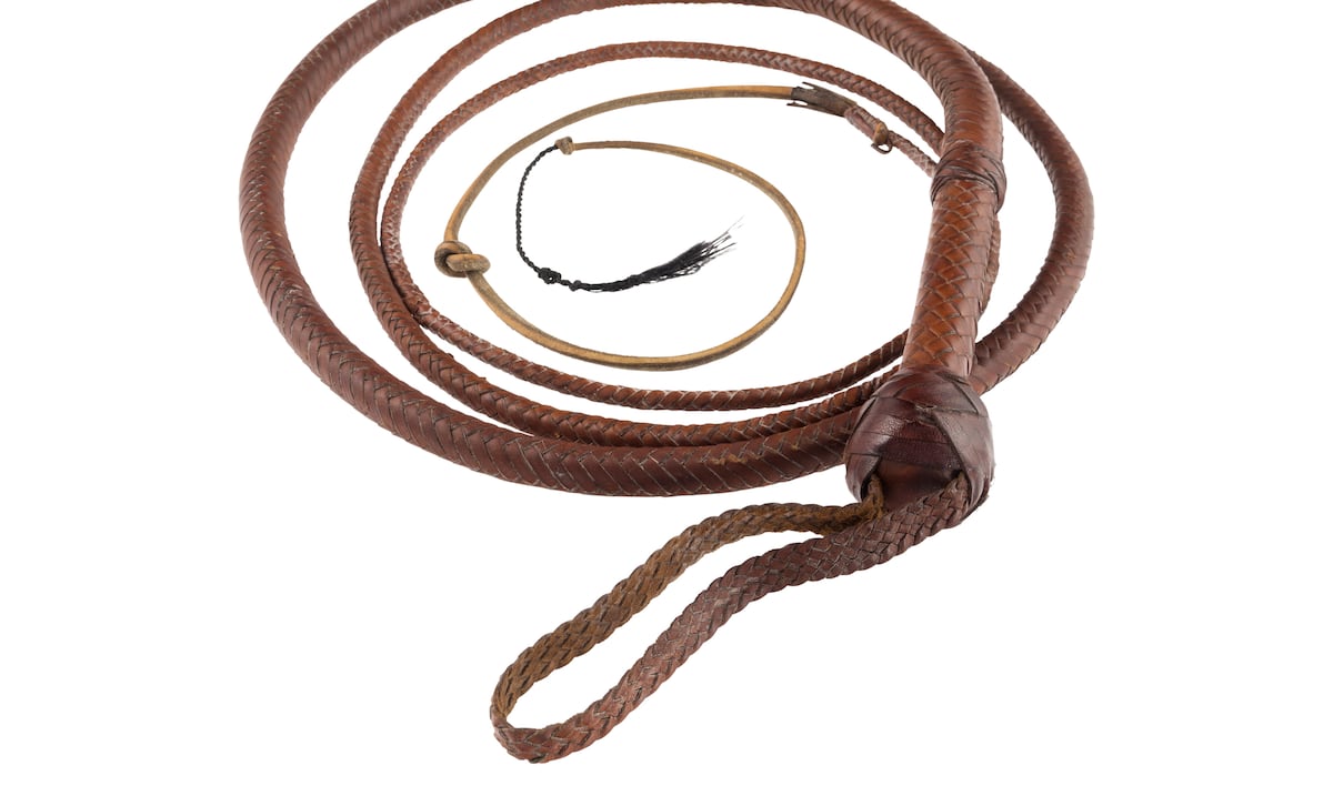 ¡Un Tesoro de Hollywood! El Látigo de Indiana Jones se Subasta por Más de Medio Millón de Dólares