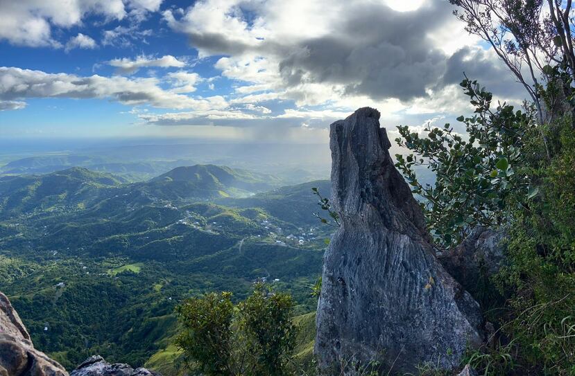 Aquí arriba "te sientes volando con los guaraguaos", nos dijo el guía Ray Rodríguez.