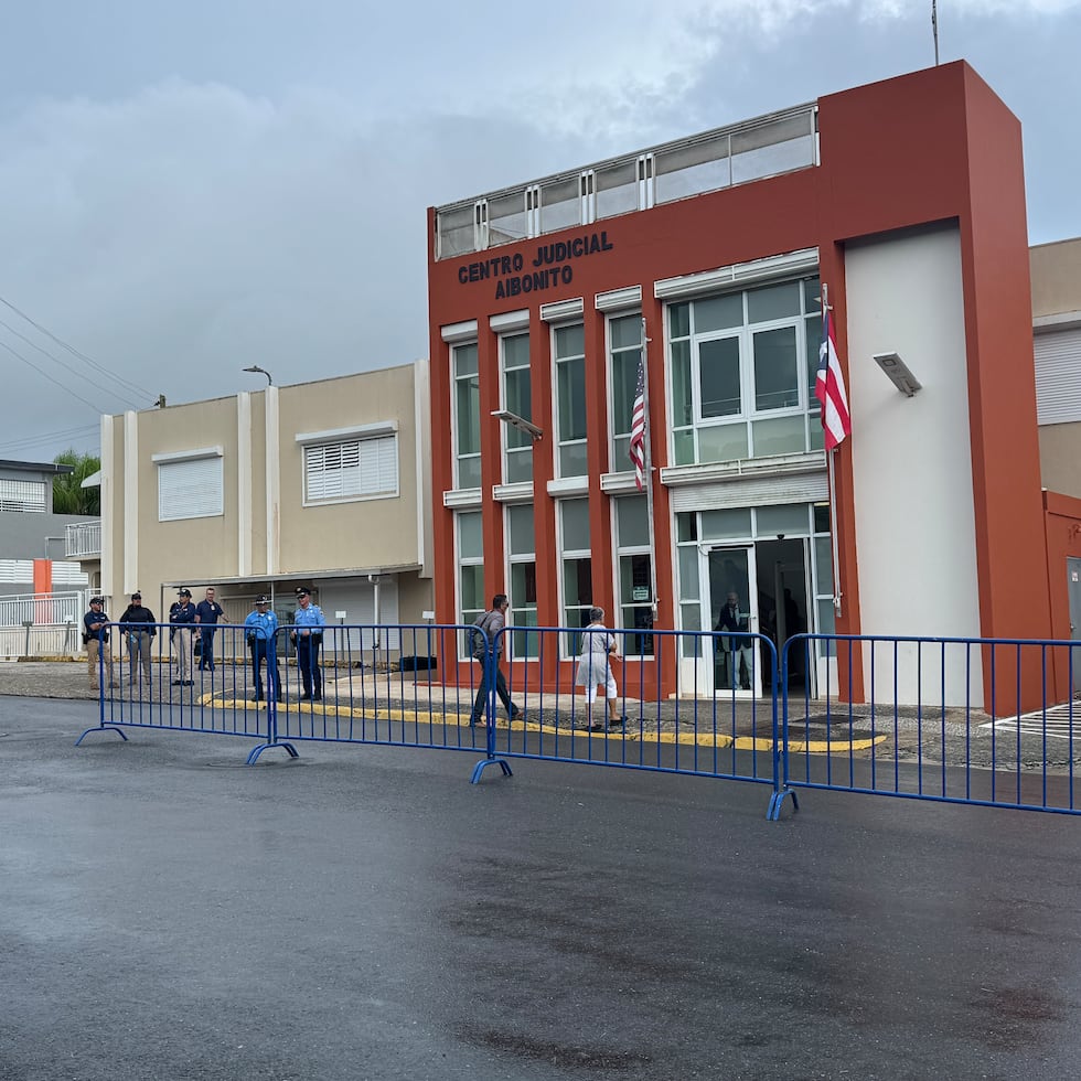 La jueza Valerie Telles Telles, del Tribunal de Aibonito, encontró causa contra la madre.