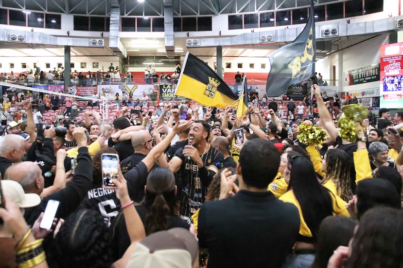Los Cafeteros de Yauco defienden el campeonato del torneo.