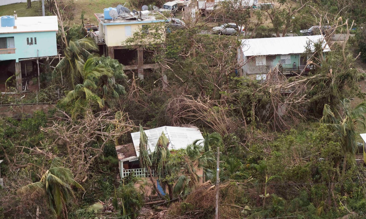 Genera PR se une a proyectos de microrredes eléctricas en Vieques y Culebra