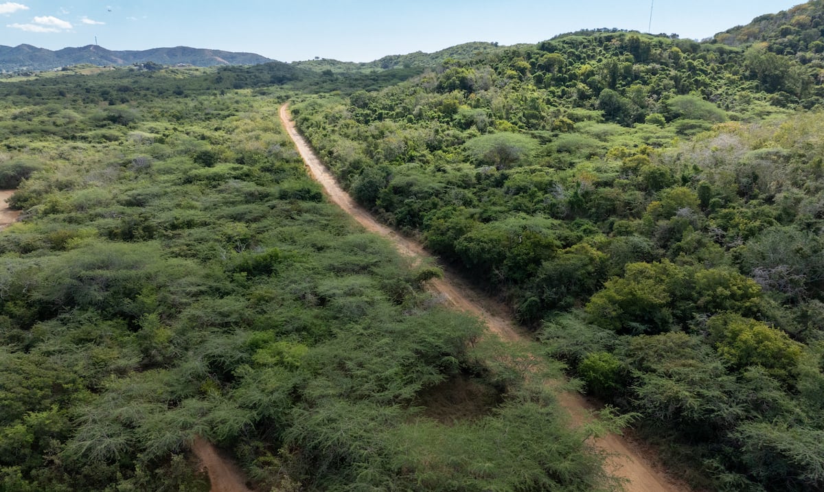 Economistas rechazan proyecto Esencia en Cabo Rojo por riesgos ambientales y sociales