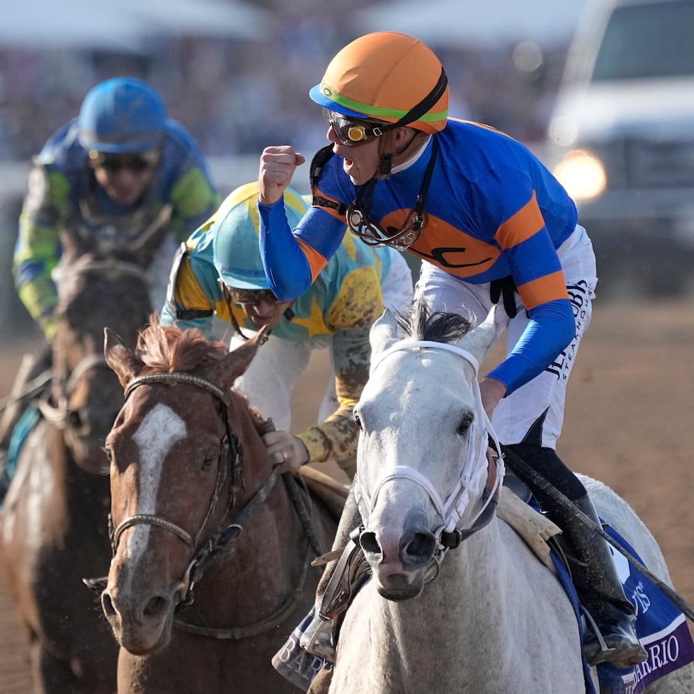 IIrad Ortiz Jr., aquí a bordo de uno de sus mejores ejemplares en tiempos recientes, White Abarrio, igualó el récord de más victorias en un programa del Hipódromo Saratoga.