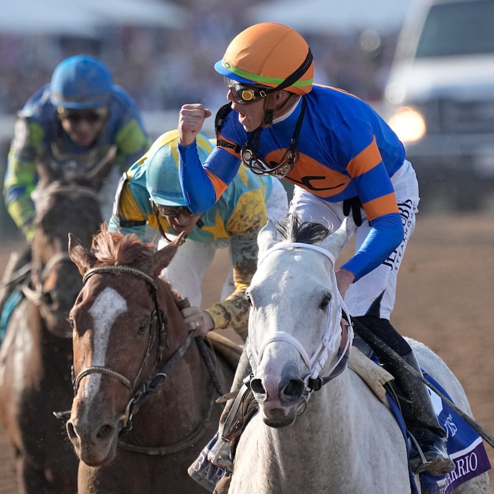 Irad Ortiz Jr. Ortiz tiene previsto reaparecer este miércoles en Gulfstream Park, donde estarán en juego más de $400,000 en premios.