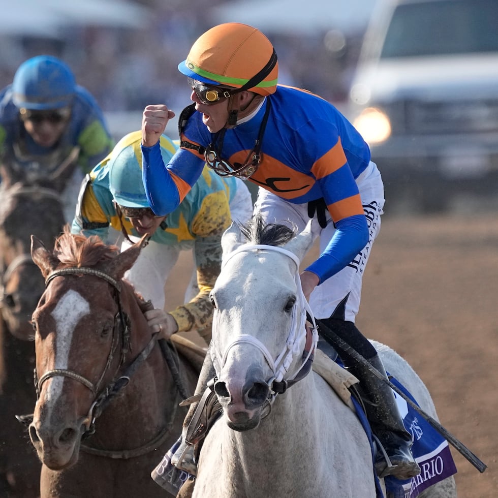 Irad Ortiz Jr., aquí junto a White Abarrio en el Breeders' Cup Classic de 2023, volvió a conquistar un clásico importante con el ejemplar, ahora de siete años.