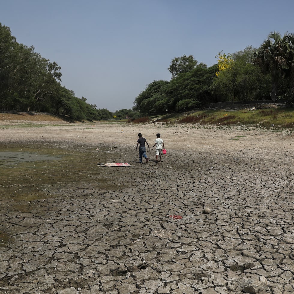 El calor extremo y la contaminación dejan cientos de peces muertos en un lago de la India.