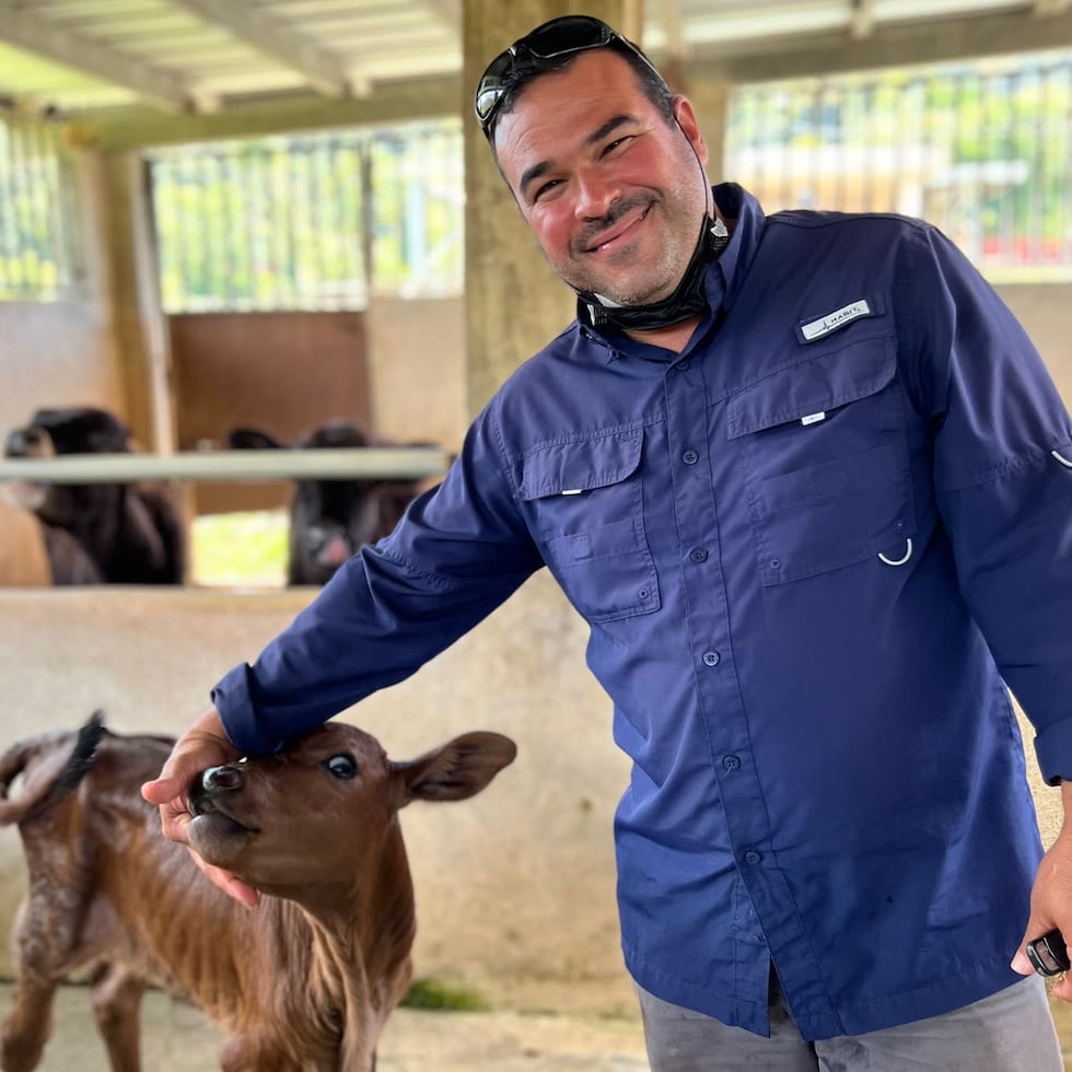 Rivera Serrano also pointed to the market conditions facing sectors such as eggs, milk and coffee.