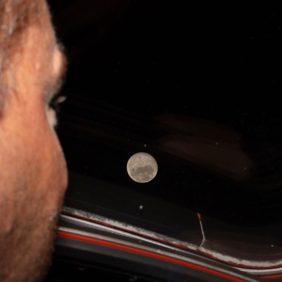 La NASA explicó durante el transcurso de la misión que el inodoro tuvo dificultades con el sistema de evacuación de aguas residuales, en particular en la parte relacionada con la orina, y recomendó a los astronautas emplear métodos alternativos, similares a pañales para adultos.