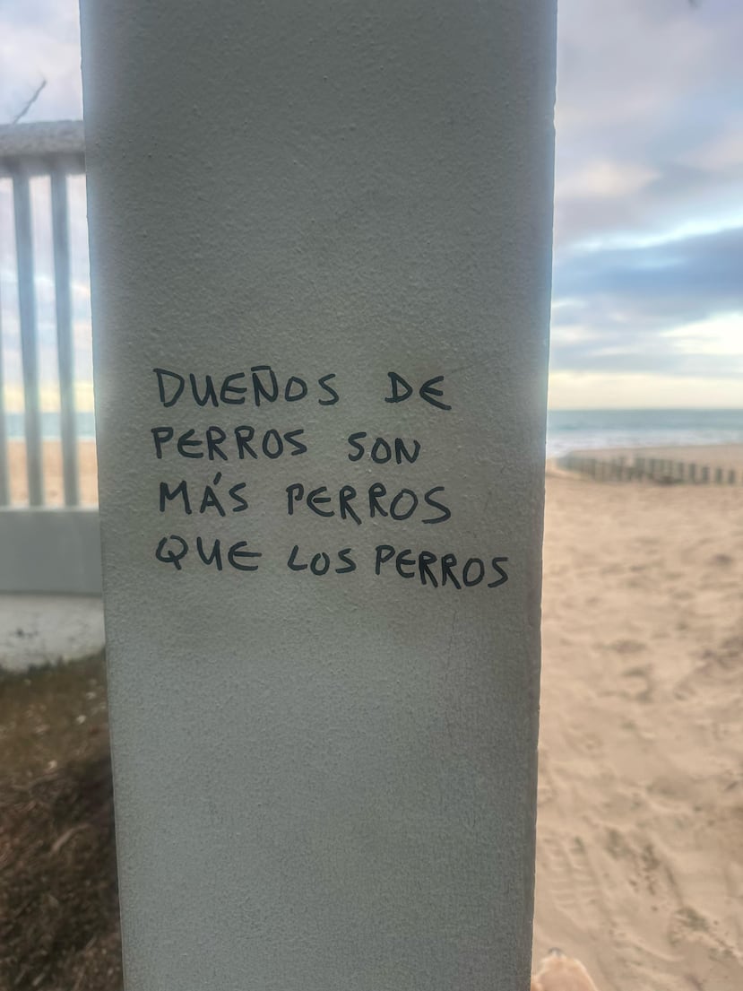 Vecinos de El Condado denunciaron que alguien ha dejado veneno en distintas áreas que han afectado a mascotas, mientras han surgido mensajes amenazantes en espacios públicos.