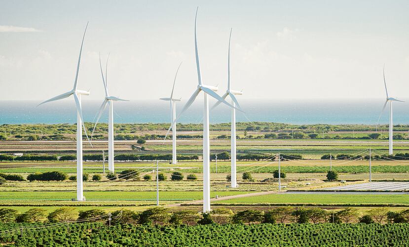 Molinos de viento en la finca de Santa Isabel.