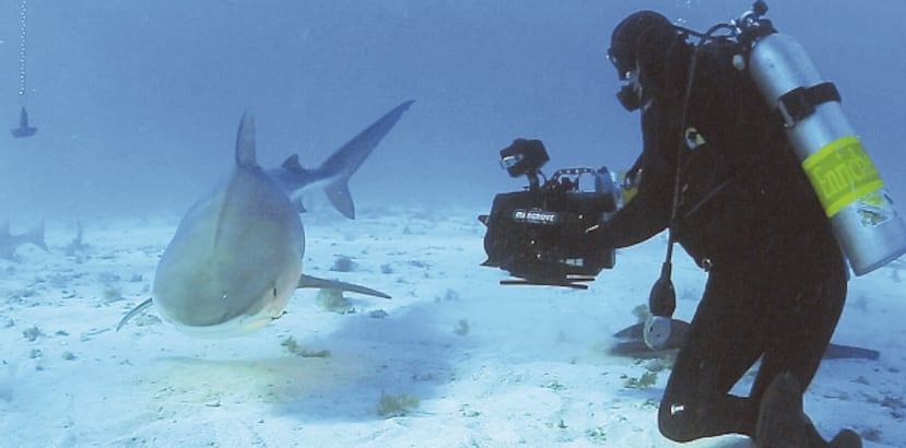 “Shark Talk Puerto Rico” se presentará el 1 de abril en Fajardo. (SUMINISTRADA)