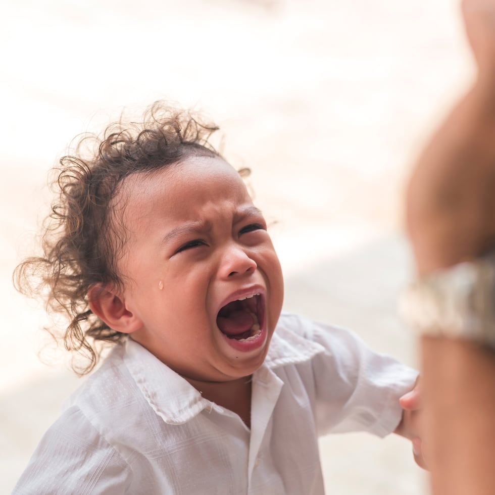 Para abordar la crianza y las rabietas de manera constructiva y eficaz es importante entender los rasgos de temperamento que hacen único a cada niño.