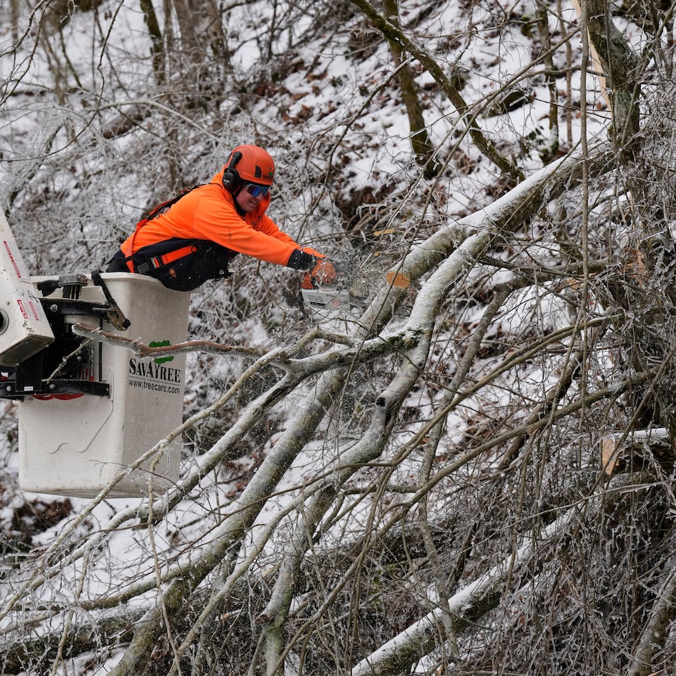 Austin Bradbury utiliza una motosierra para cortar una rama de un árbol sobre una carretera, en Nashville, Tennessee.