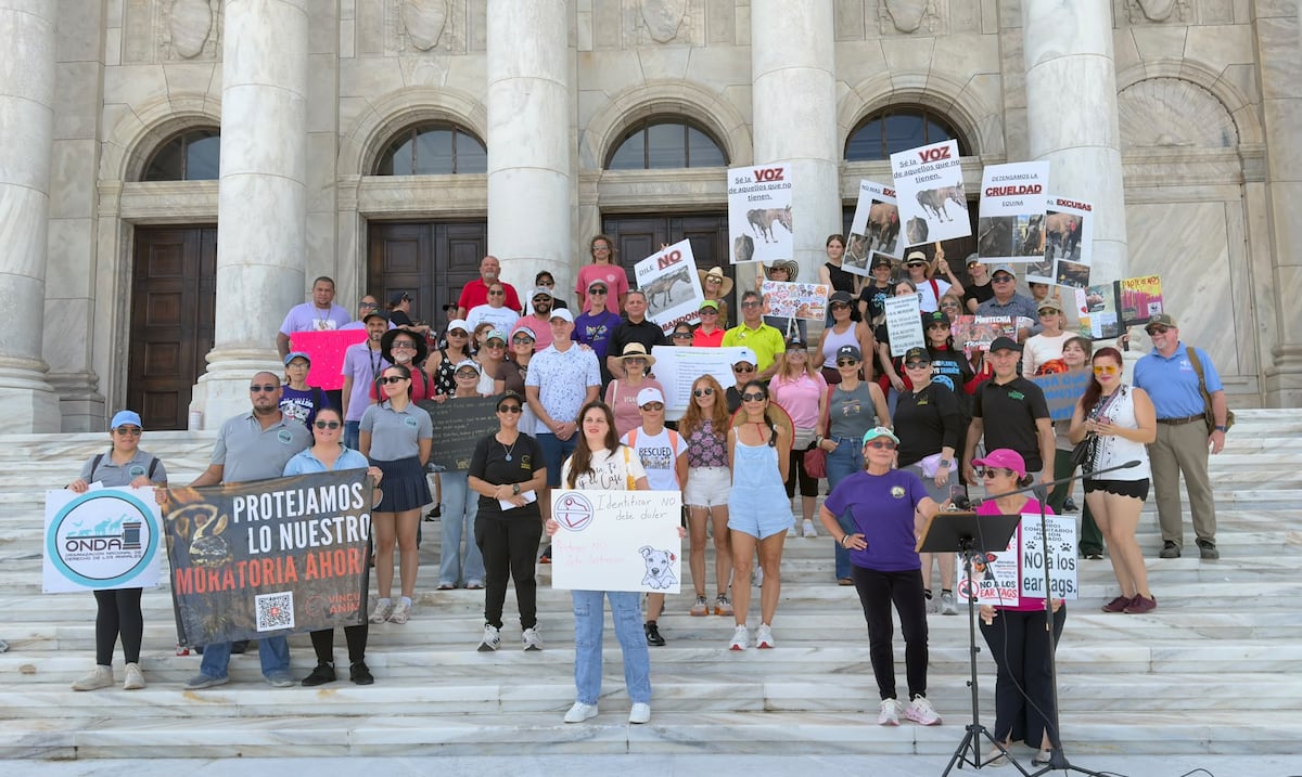 Organizaciones protestan frente al Capitolio por aumento del maltrato animal en Puerto Rico