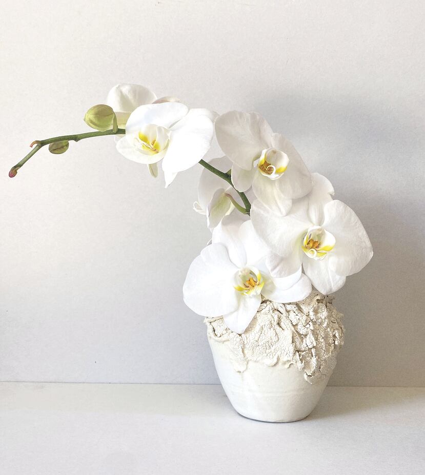 La más reciente colección de Denise López se enmarca en el cruce de la pérdida de su madre, Eunice López, en septiembre del año pasado y su necesidad de intencionar espacios de creación artística para canalizar su duelo. La primera pieza fue presentada en el Tercer Encuentro de Ceramistas de Puerto Rico y la Diáspora, recientemente.