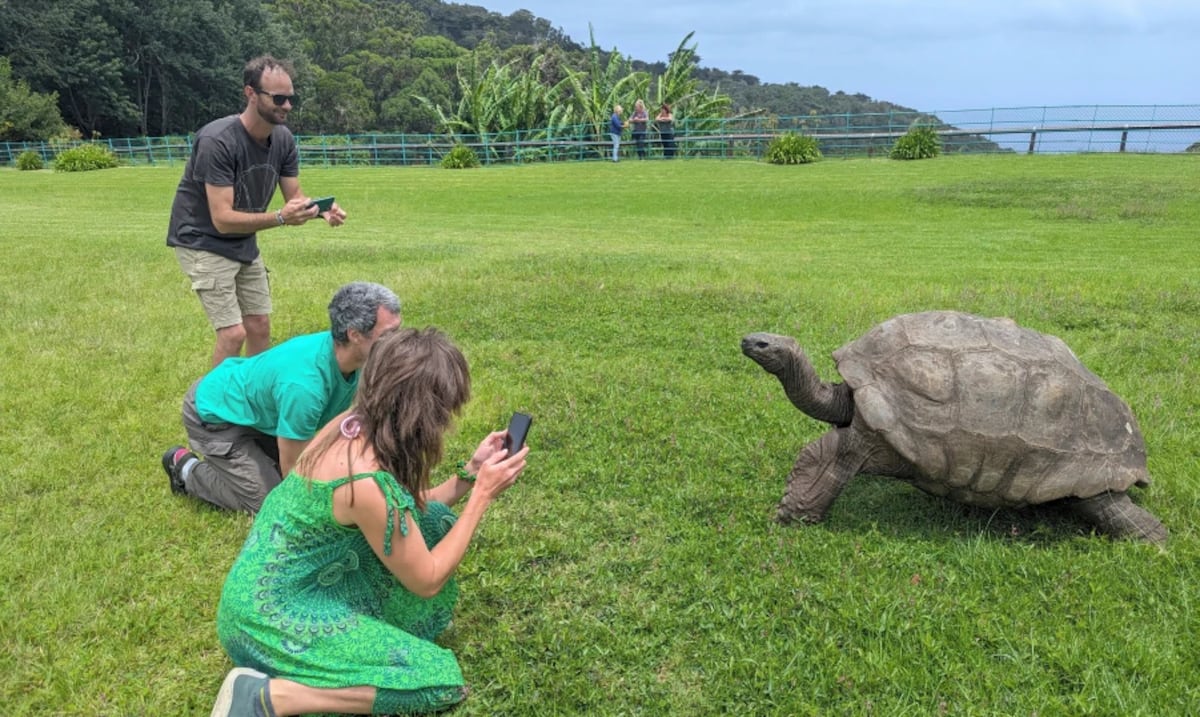Falsa alarma: la tortuga más vieja del mundo no está muerta