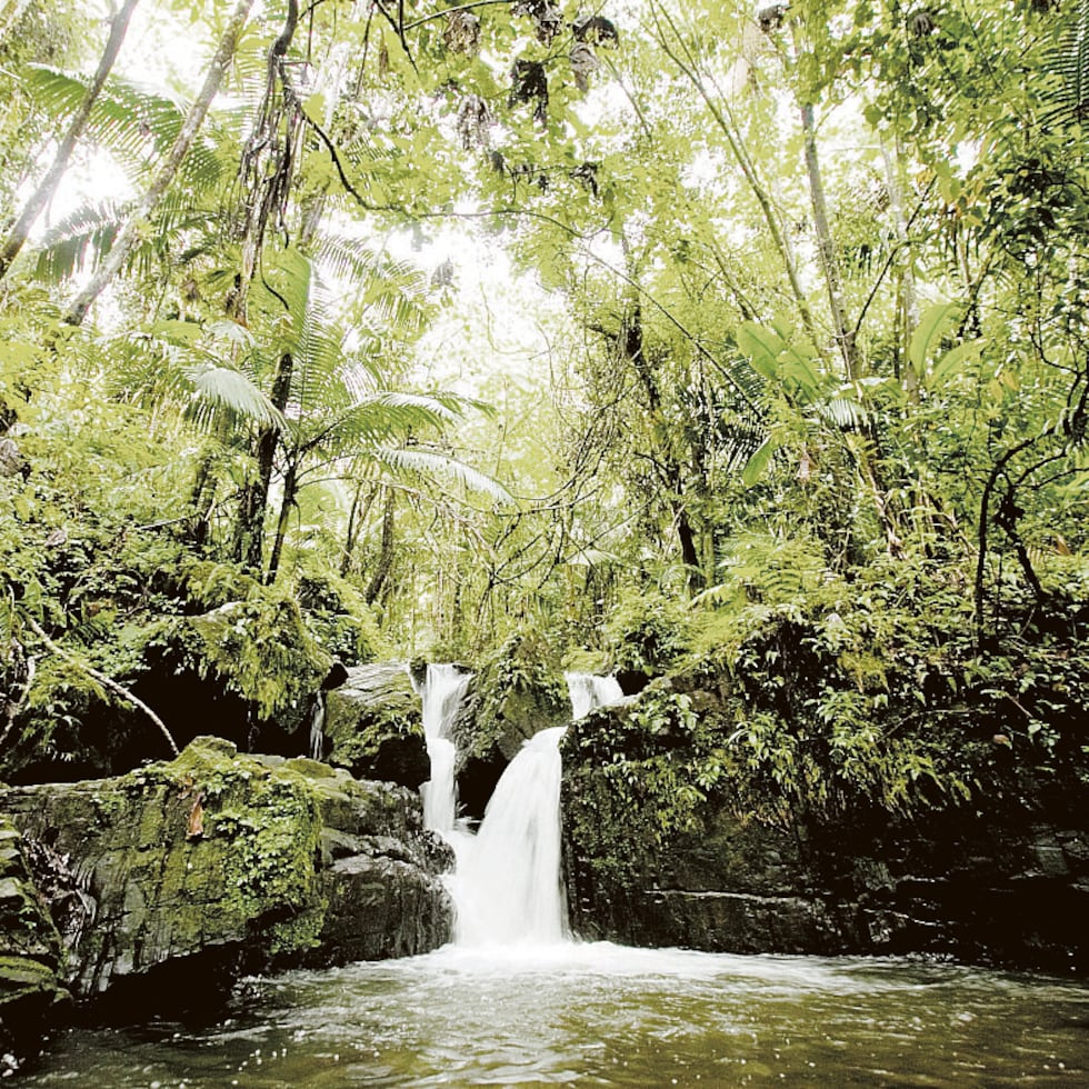 Las lluvias podrían dejar acumulaciones de agua en áreas donde están los ríos de El Yunque y el este de Puerto Rico.