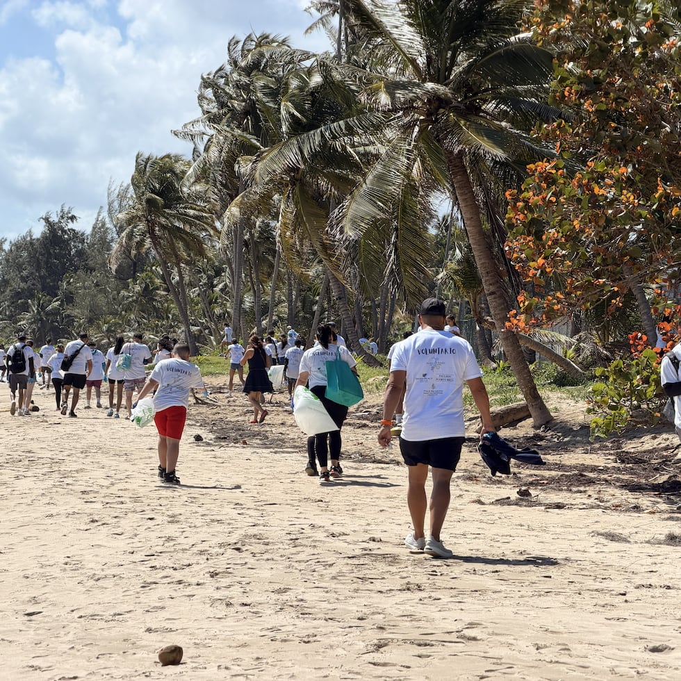 La Fundación Alma de Bahía realizó la edición número 18 de la Limpieza Anual de Playa de la Fundación Alma de Bahía, en la playa Puente Herrera en Río Grande. En la imagen de archivo, parte de los desperdicios colectados el año pasado.