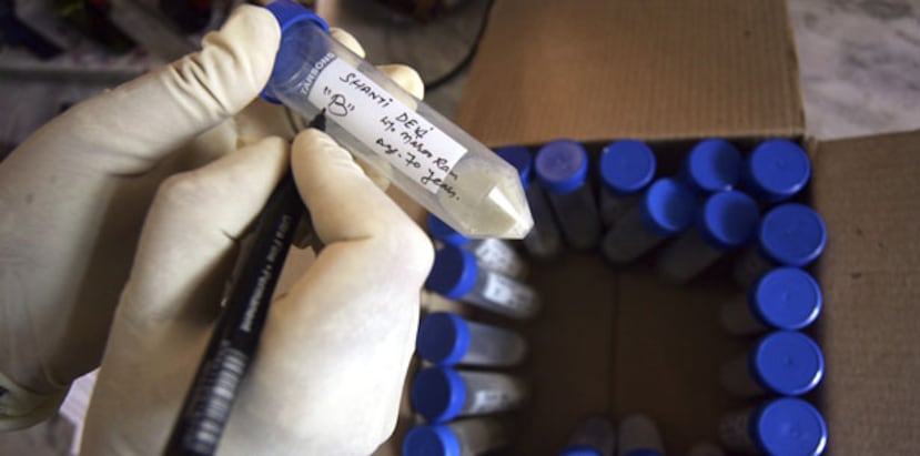 Dentro de Nueva York, Queens continúa siendo el distrito con la mayor tasa de casos, de 10.6 por 100,000 habitantes, en contraste con la tasa de 7.5 para toda la ciudad. (EFE)