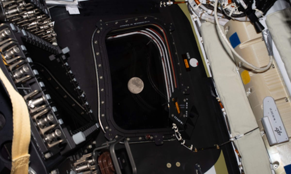 Observarán la cara oculta de la Luna: astronautas de Artemis II realizan este lunes su sobrevuelo lunar