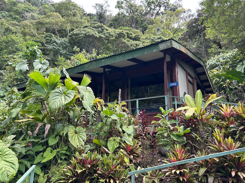 El Hotel Quelitales, a las afueras del pueblo de Cachí, en Costa Rica, y en el corazón de un bosque húmedo nublado en la provincia de Cartago, es un ejemplo del turismo natural y de aventura que ofrece Costa Rica.