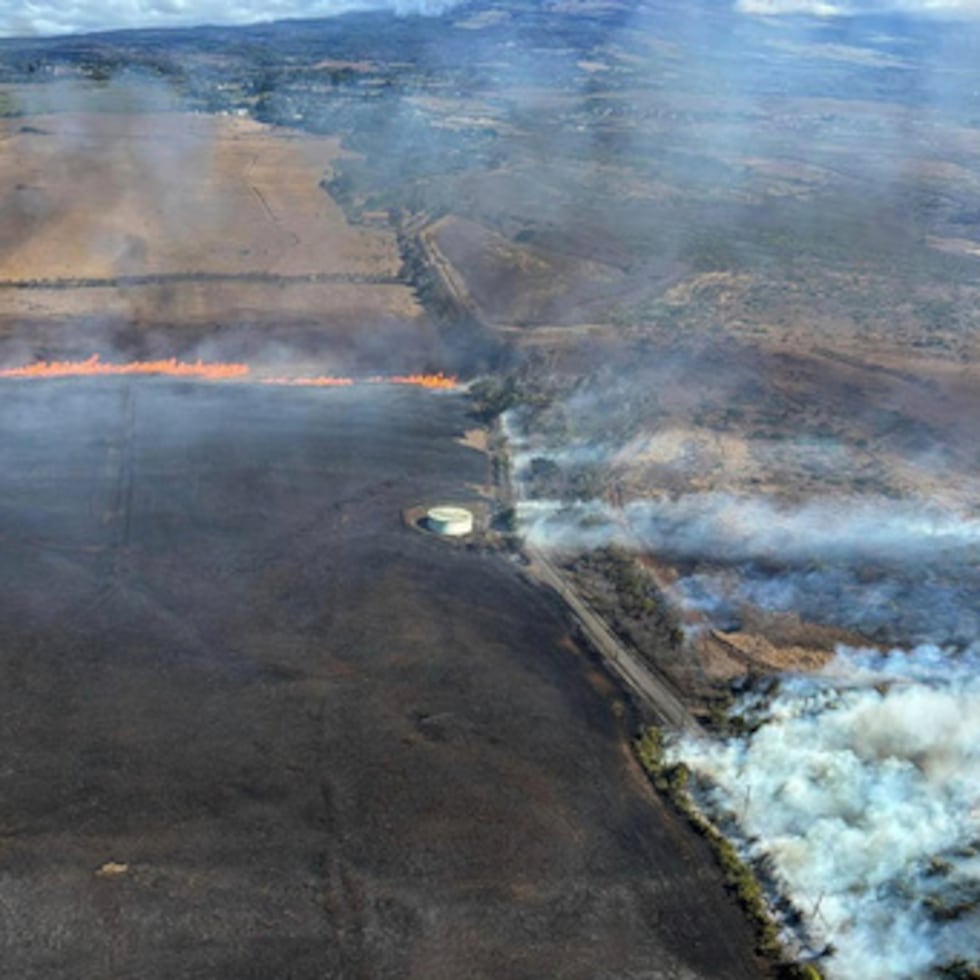 Los estados, liderados predominantemente por demócratas, entre los que se encuentran Michigan, Oregón y Arizona, junto con el gobernador de Kentucky, Andy Beshear, demandaron el martes al Departamento de Seguridad Nacional y a la Agencia Federal para el Manejo de Emergencias (FEMA, en inglés) en el Tribunal de Distrito de Estados Unidos en Eugene, Oregon.