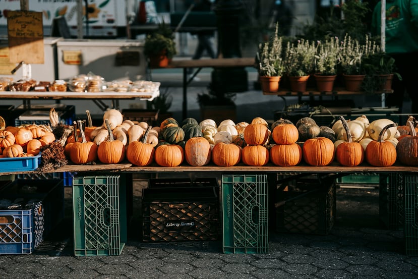 Cada año, se cosechan 680,000 toneladas de calabazas en EE. UU.