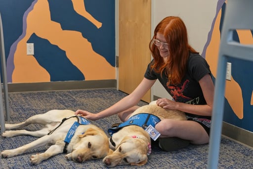 Perros de terapia aportan tranquilidad y alegría a estudiantes tras tiroteo en escuela de Colorado