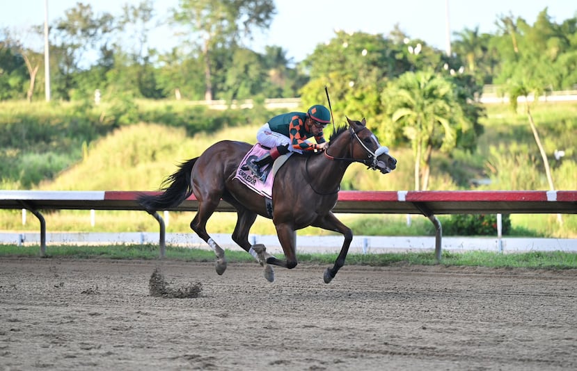 Demoledor se despegó en los metros finales tras responder a la presión de Gran Porte en la recta final del Derby Puertorriqueño en el Hipódromo Camarero.