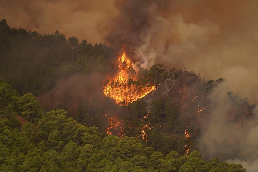 El fuego arde en una zona boscosa cerca del poblado de El Rosario, mientras un incendio forestal afecta Tenerife, en las Islas Canarias.