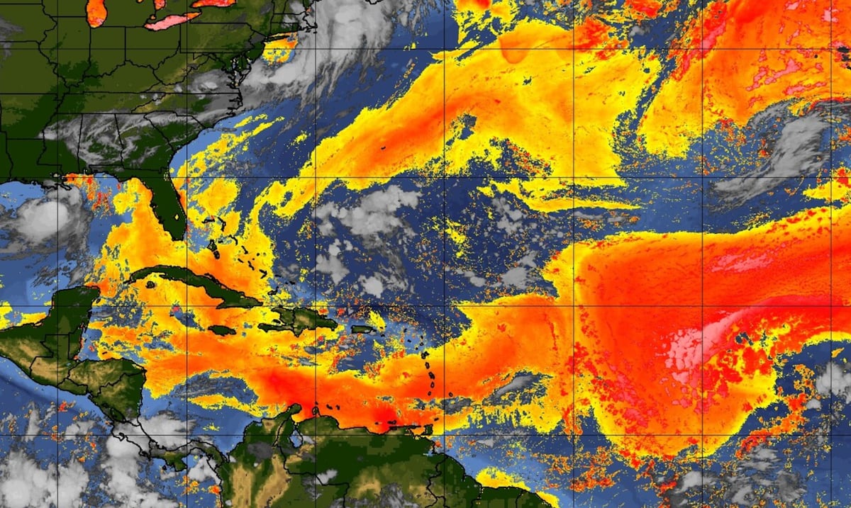 Polvo del Sahara llega con más frecuencia y duración a Puerto Rico, aumentando enfermedades respiratorias