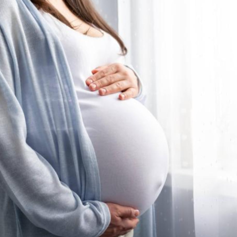 El Proyecto de la Cámara 794, que declarara el 25 de marzo como el “Día del Niño por Nacer”, tiene como propósito, según su texto, “promover la celebración, el respeto y la defensa a la vida humana desde el momento de la concepción”.