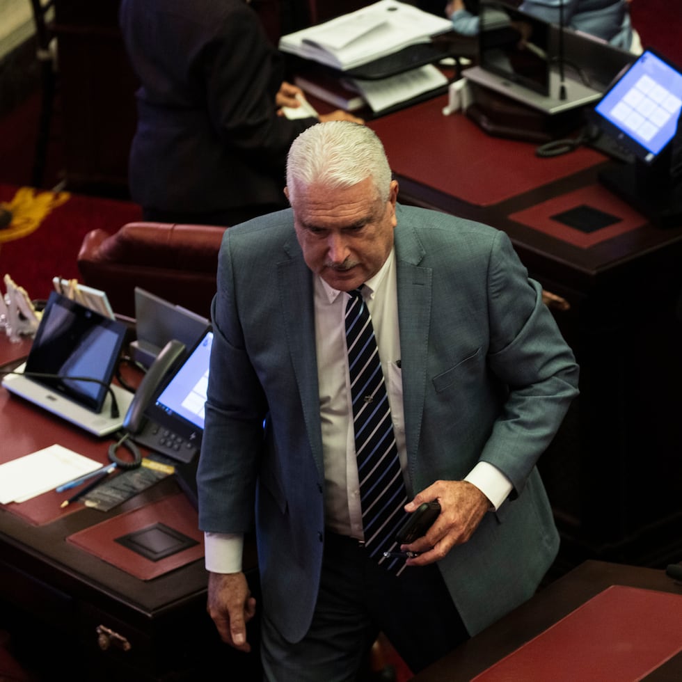 La resolución, según Rivera Schatz, provee para ampliar su alcance según la información que surja.