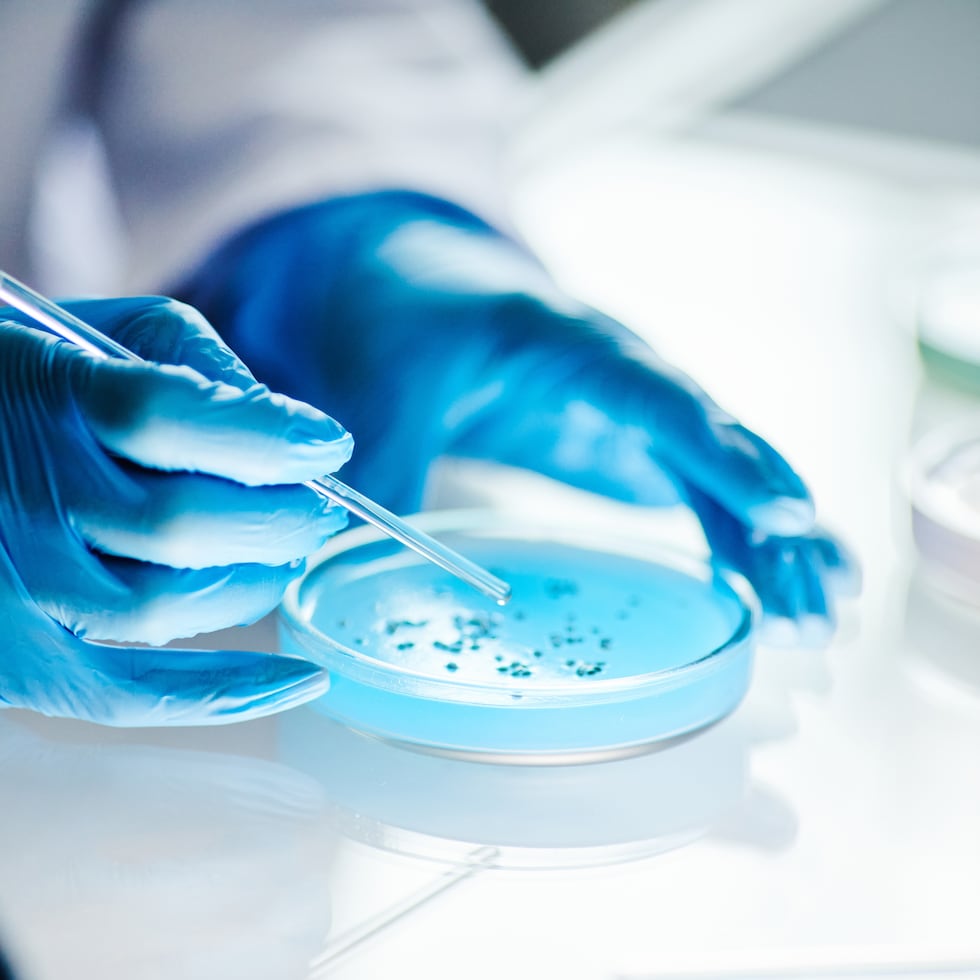 El pasado año fiscal, el Fideicomiso para Ciencia, Tecnología e Investigación solo pudo financiar 13 proyectos ante las limitaciones en recursos.