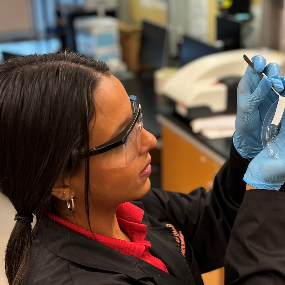 La estancia de la investigadora Alondra Rodríguez Rolón en Illinois se extenderá hasta el verano de 2026.