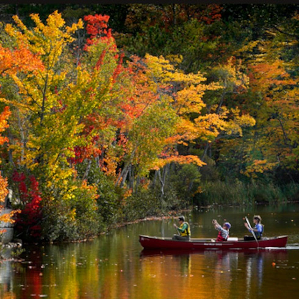 ¡Otoño en su máximo esplendor! Excursión en canoa en Maine.