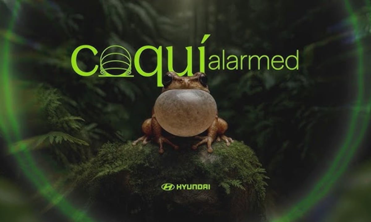 Campaña "Coquí Alarmed" de Hyundai gana en Cannes Lions y genera debate científico en PR