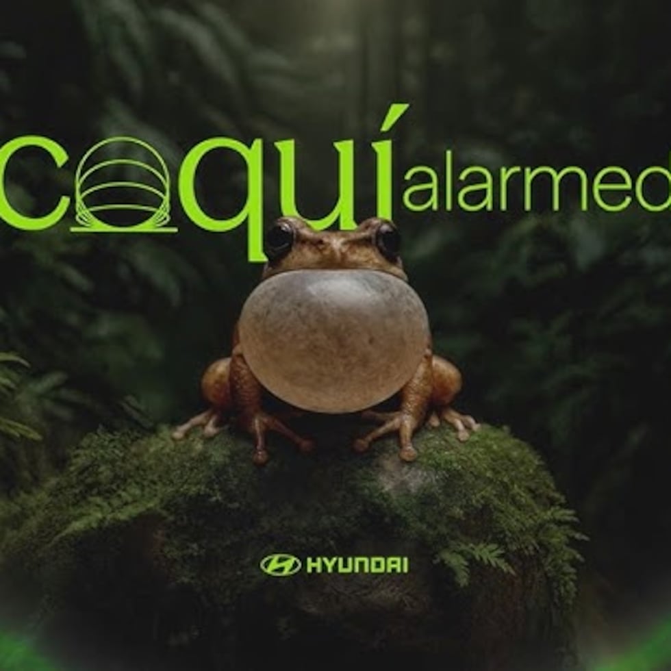 La campaña “Coquí Alarmed”, creada por Hyundai Puerto Rico y BBDO Puerto Rico, ganó el Grand Prix de Audio & Radio en el Festival Internacional de Creatividad Cannes Lions.