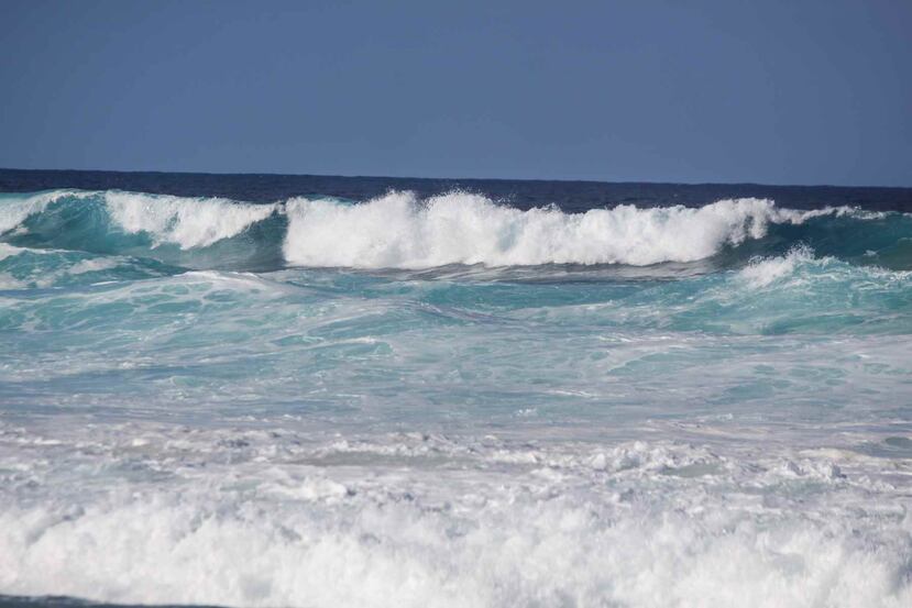 Las condiciones marítimas estarán favorables con oleaje de hasta cuatro pies y vientos del este de hasta 10 nudos. (Archivo/ GFR Media)