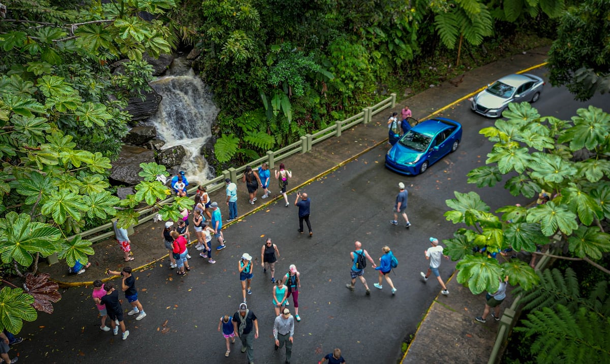 Rescatan a cuatro personas atrapadas por una corriente de agua en El Yunque