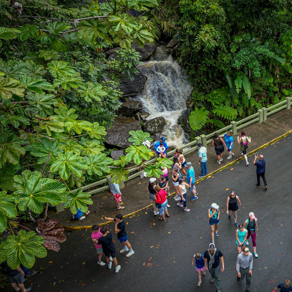El Yunque National Forest