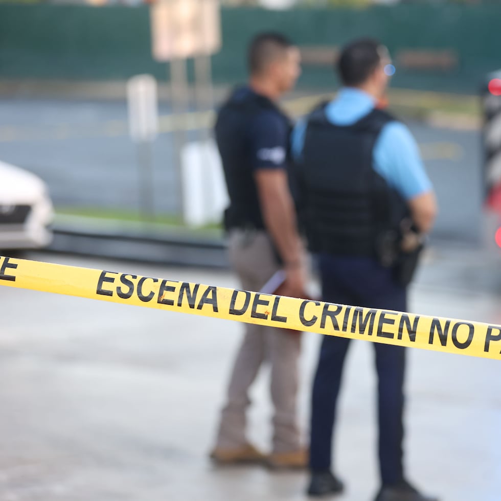 Hasta este lunes, la Policía había reportado 428 asesinatos en lo que va de este año, 403 menos que los registrados a la misma fecha en el 2024.