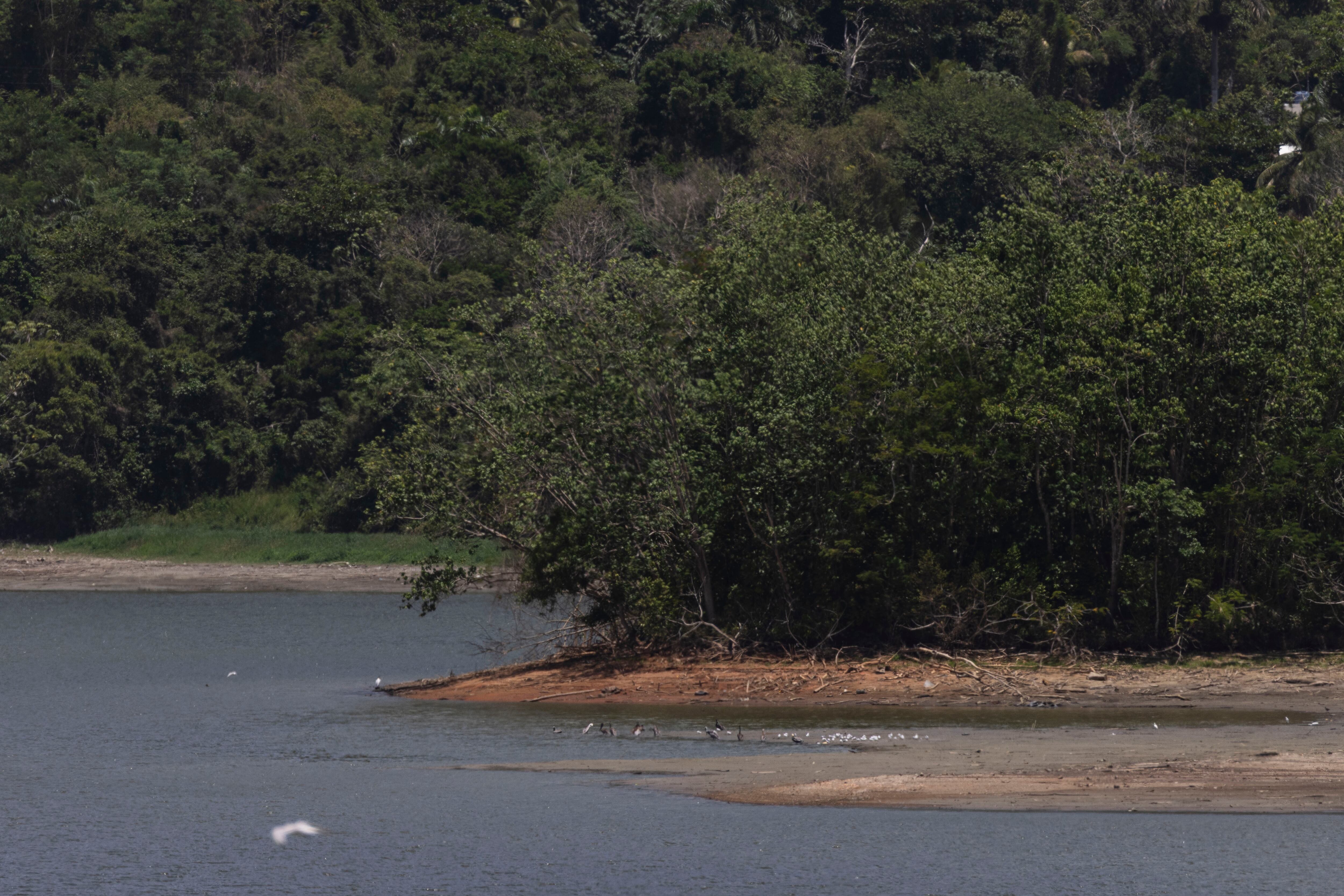Imagen de la cobertura de: San Juan y la AAA enfrentan racionamiento de agua, acuerdos en tribunal y nuevas herramientas informativas