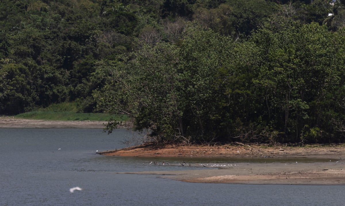 Amenaza de racionamiento: alcaldes se reúnen en La Fortaleza por emergencia de sequía