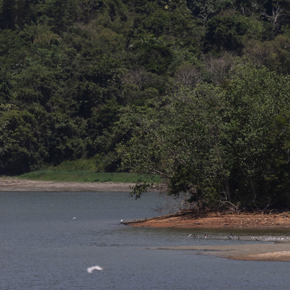 Governor Jenniffer González declared a state of emergency on Friday due to the effects of the drought on Puerto Rico's reservoirs.