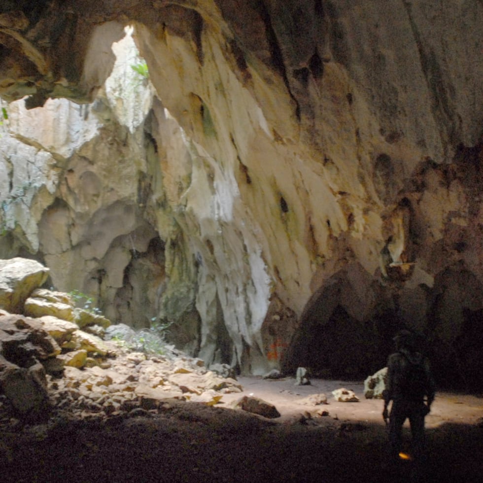 Las fallas reales de la Ley 111 no son fiscales, sino territoriales. Lo digo desde mi experiencia profesional y comunitaria: la medida interviene en la dimensión más delicada del país —su territorio— sin comprenderlo ni respetarlo. Debilita al DRNA justo cuando más necesitamos su rigor científico, escribe David Carrasquillo.